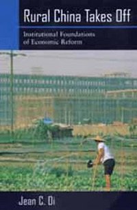 Rural China Takes Off (University of California Press 1999)