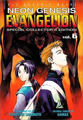 Neon Genesis Evangelion, Vol. 6