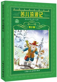 苦儿流浪记 (上海人民美术出版社 2001)