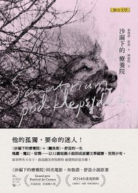 沙漏下的療養院 (聯合文學 2014)