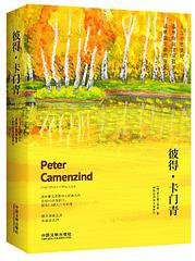 彼得·卡门青 (中国法制出版社 2018)