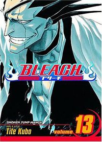 Bleach, Volume 13