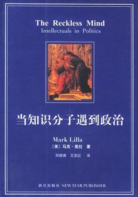 当知识分子遇到政治 (新星出版社 2005)