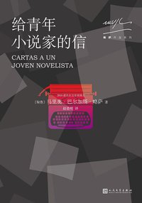 给青年小说家的信 (人民文学出版社 2017)
