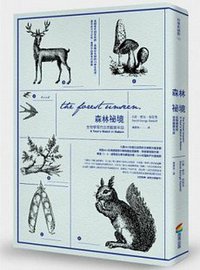 森林祕境 (商周 2014)