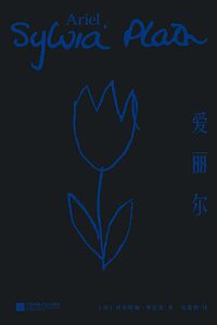 爱丽尔 (江苏凤凰文艺出版社 2019)