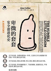 卑微的套套 (上海文艺出版社 2013)