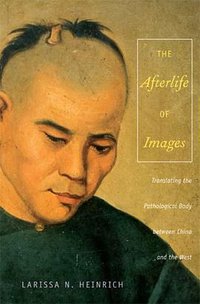 The Afterlife of Images (Duke University Press 2008)