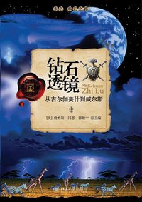 钻石透镜 (北京大学出版社 2008)