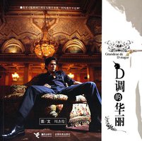 D调的华丽 (接力出版社 2009)