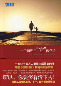 一个被称作“它”的孩子 (南海出版公司 2008)