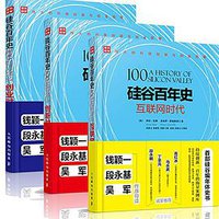 硅谷百年史 (人民邮电出版社 2016)