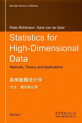 高维数据统计学