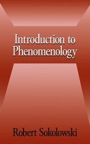 Introduction to Phenomenology