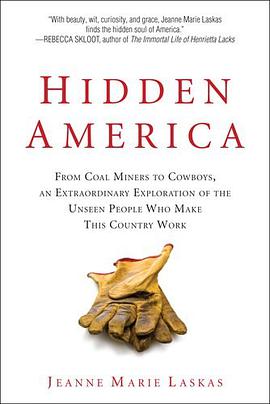 Hidden America