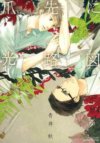 爪先に光路図 (大洋図書 2012)