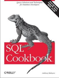 SQL Cookbook (O'Reilly Media 2005)
