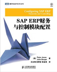 SAP ERP财务与控制模块配置