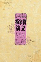 杨家将演义 (人民文学出版社 2007)