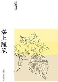 塔上随笔 (河南文艺出版社 2017)