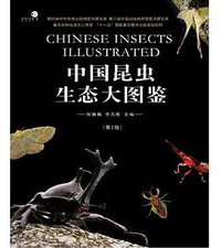 中国昆虫生态大图鉴 