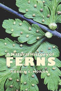 A Natural History of Ferns (2004)
