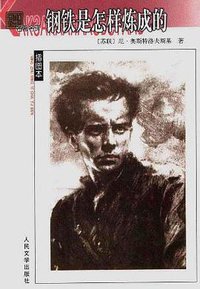 钢铁是怎样炼成的 (人民文学出版社 2003)