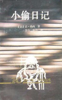 小偷日记