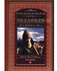 钢铁是怎样炼成的 (长江文艺出版社 2007)
