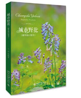 城市野花（精华版口袋书）