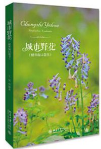 城市野花（精华版口袋书）