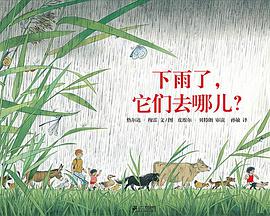 下雨了，它们去哪儿？