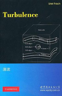 湍流 (世界图书出版公司 2011)