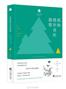 孤独漫步者的遐想