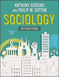 Sociology (Polity Press 2017)