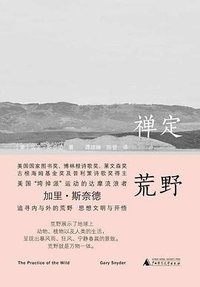 禅定荒野 (广西师范大学出版社 2019)