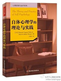 自体心理学的理论与实践 (中国轻工业出版社 2013)