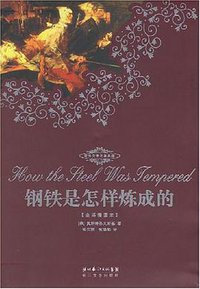 钢铁是怎样炼成的 (长江文艺 2007)