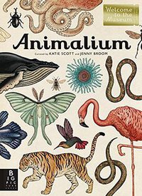 Animalium (Big Picture Press 2014)