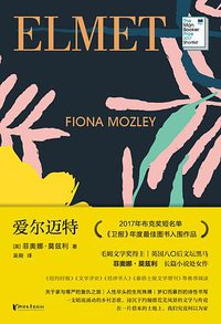 爱尔迈特 (浙江文艺出版社 2020)