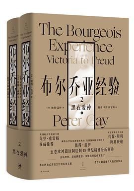 布尔乔亚经验 2