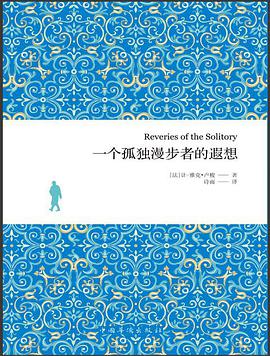 一个孤独漫步者的遐想