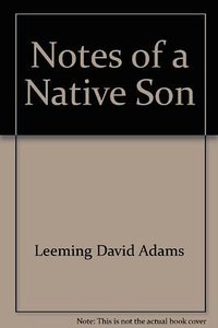 Notes of a Native Son (Beacon Press 1990)