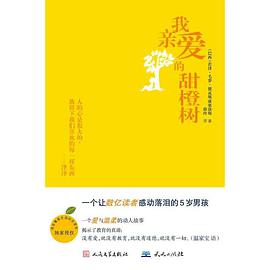 我亲爱的甜橙树