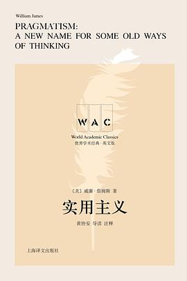 实用主义