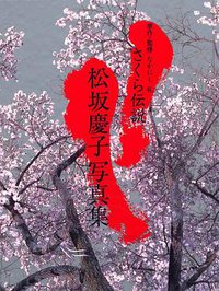 樱花传奇―松坂庆子写真集 (大型本)