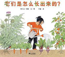 它们是怎么长出来的？