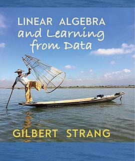 Linear Algebra and Learning from Data