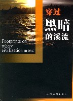 穿过黑暗的溪流