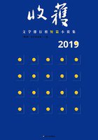 2019收获文学排行榜短篇小说集